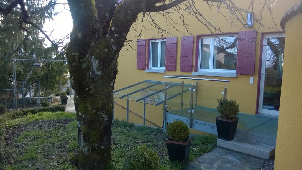 Bed and Breakfast Swiss Borzoi House Vully-les-Lacs Exterior foto