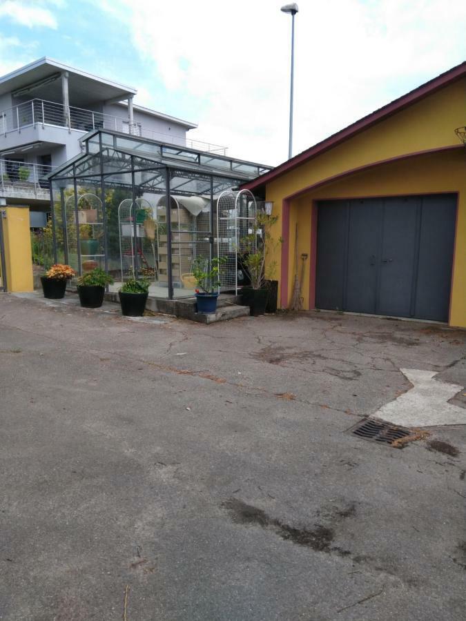 Bed and Breakfast Swiss Borzoi House Vully-les-Lacs Exterior foto